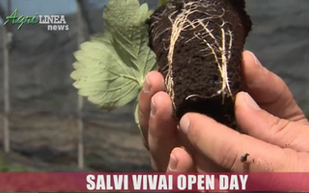 IL VIDEO DELL’OPEN DAY SALVI VIVAI AL FRAGOLETO DI LAGOSANTO