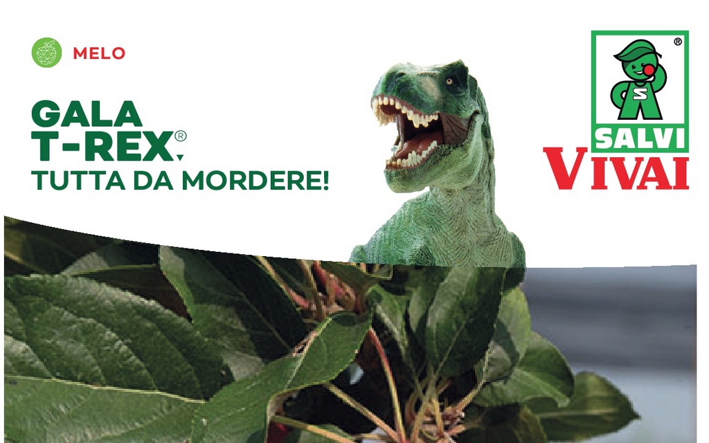 NUOVA GALA T-REX®CIVT15*: TUTTA DA MORDERE!