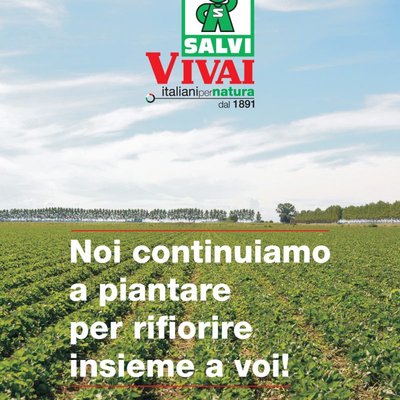 salvi vivai pienamente operativa