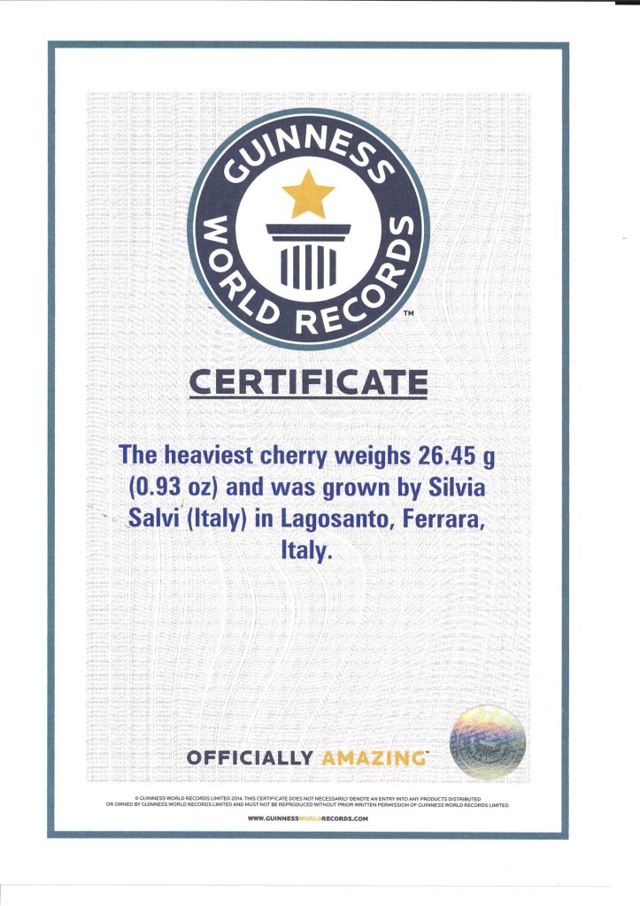 Guinness des Records - Sweet Stephany