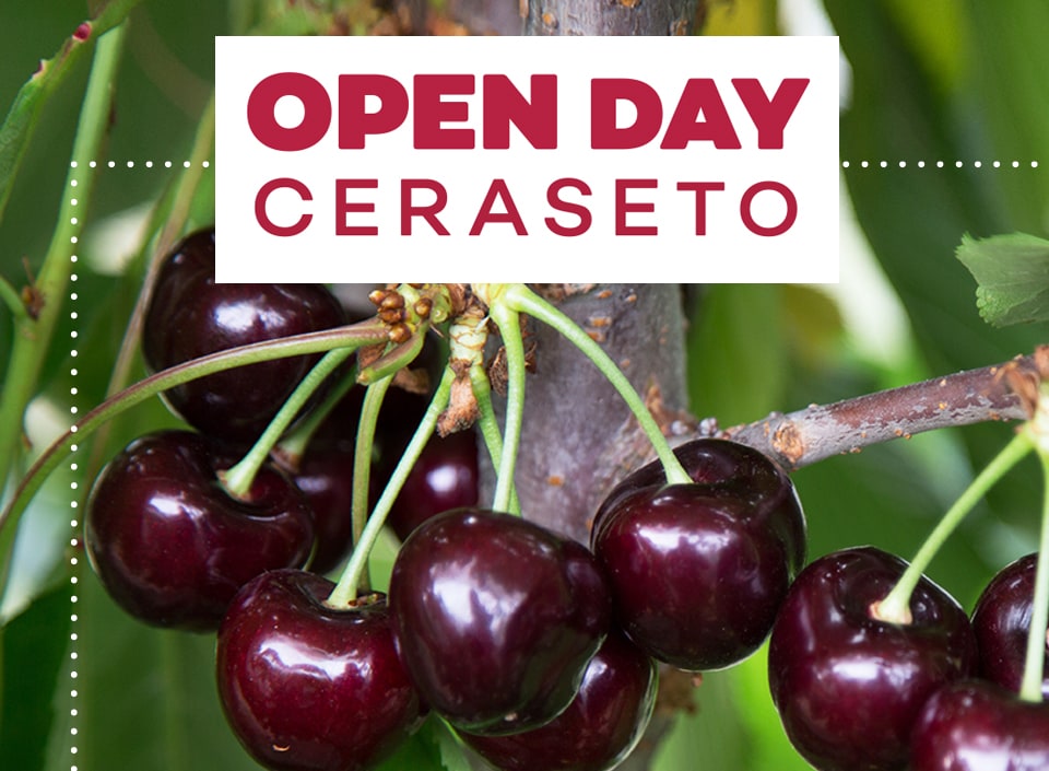 OPEN DAY CERASETO