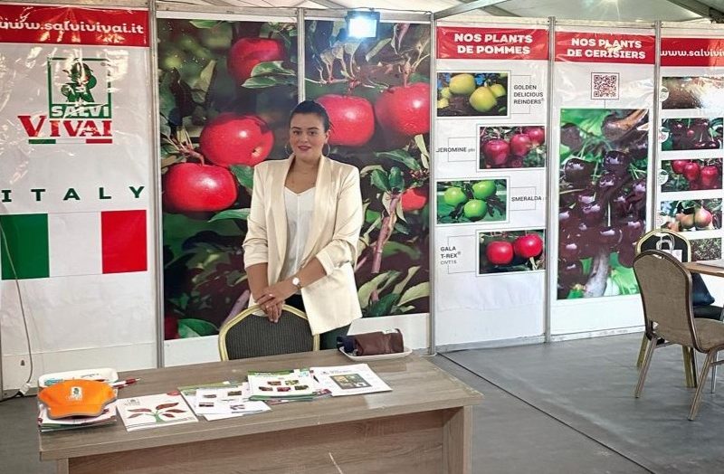 Salvi Vivai presente alla fiera sul melo di Midelt, Marocco