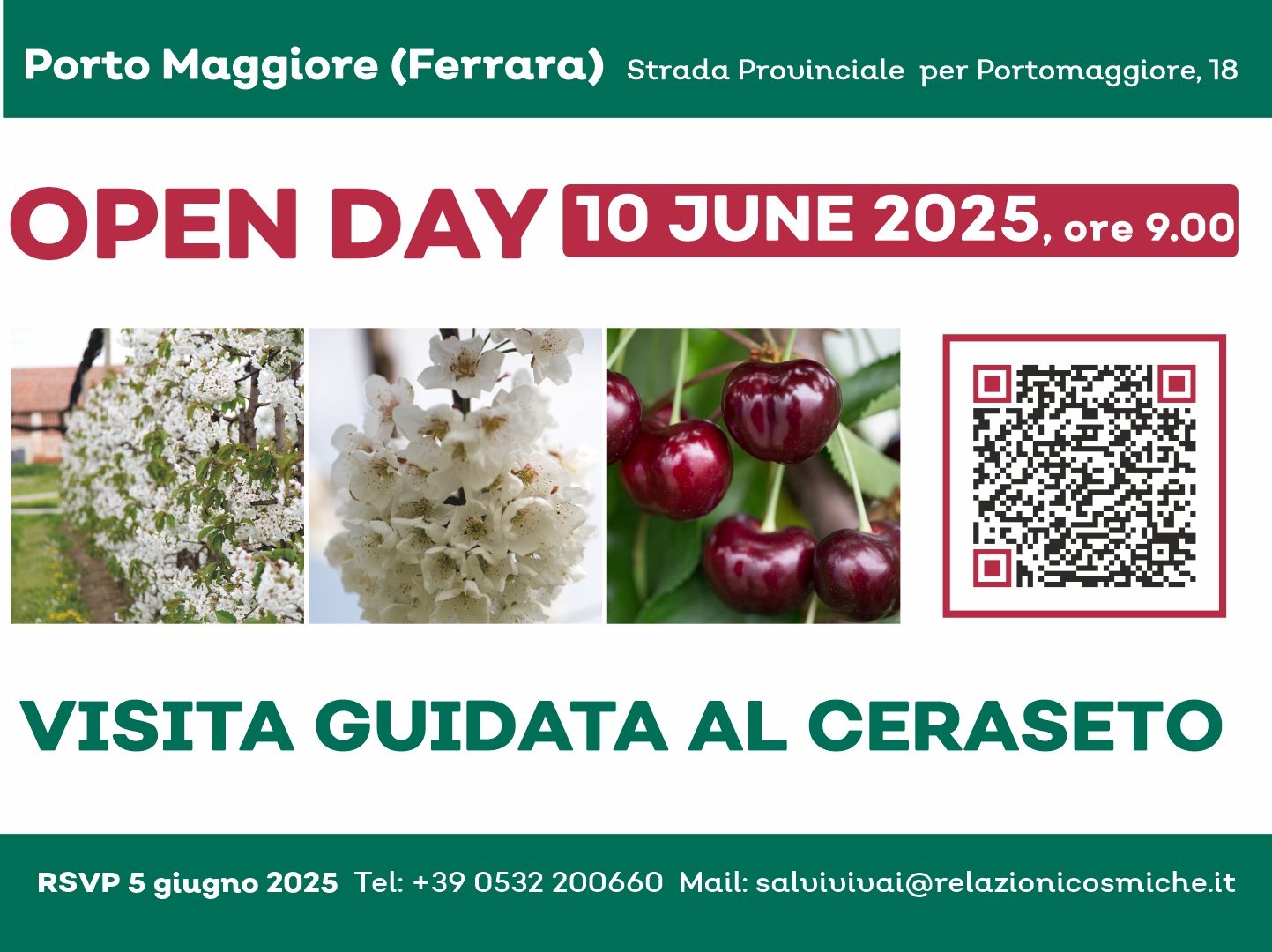 Open Day ciliegio 2025: Salvi Vivai presenta il nuovo ceraseto sperimentale